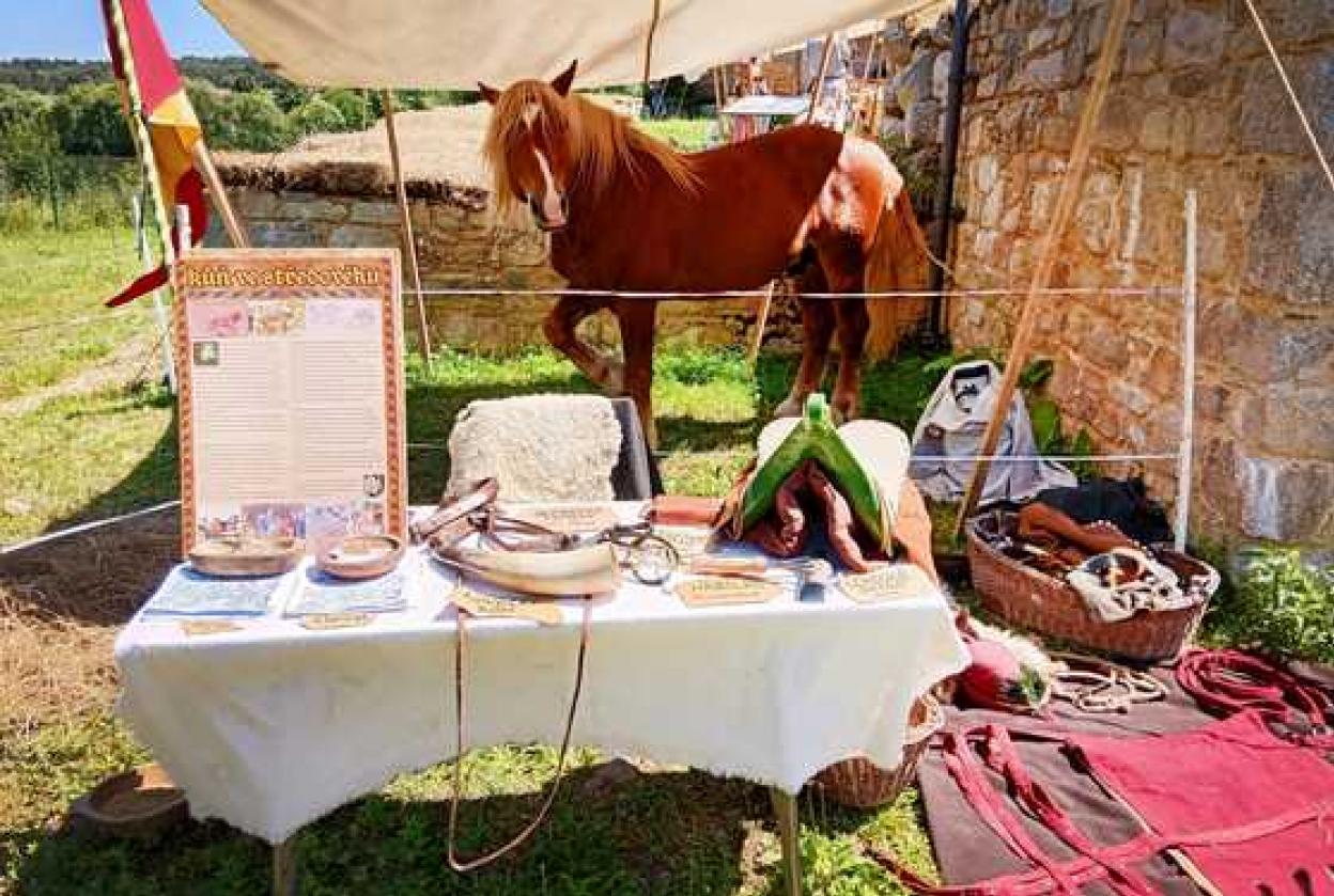 Kůň ve středověku